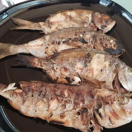 Tatil Evi Mobile Heaven Biograd *