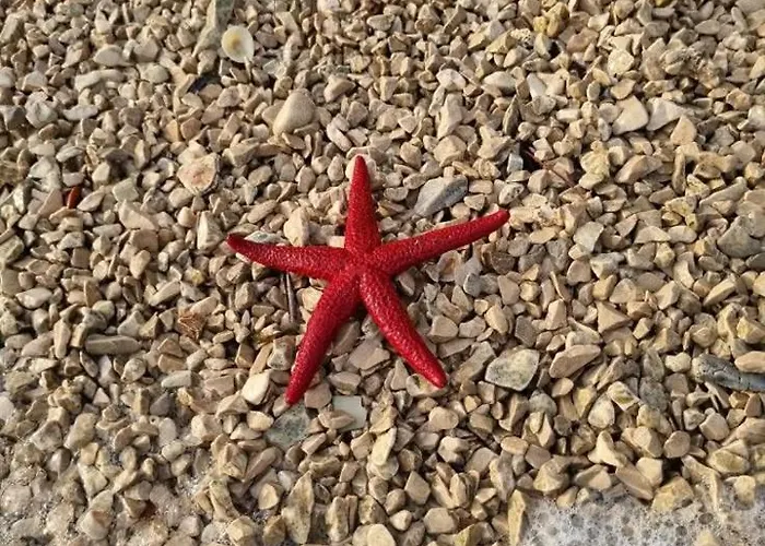 Mobile Heaven Biograd