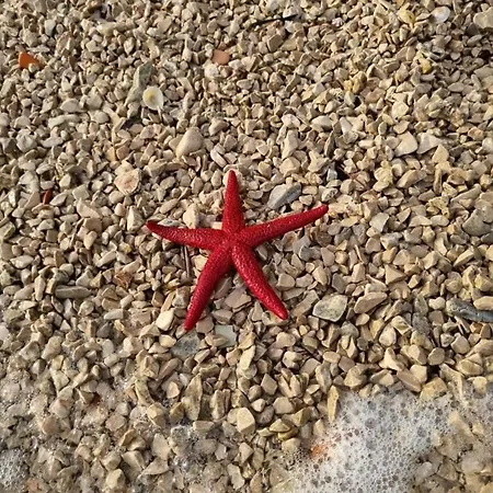 Mobile Heaven Biograd
